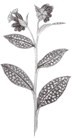 lungwort